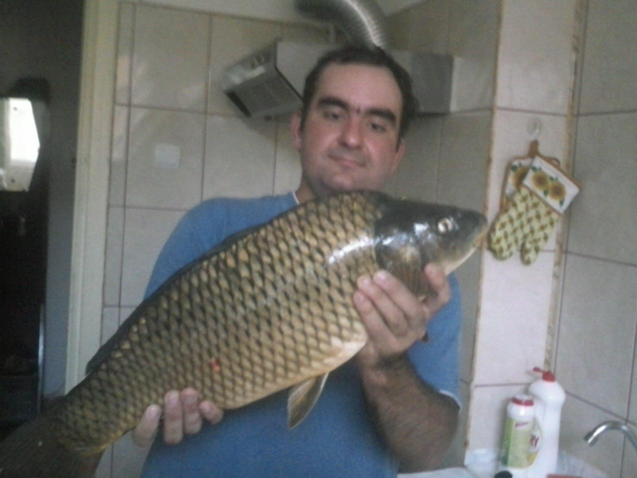 Pleasa 2012 - crap comun 4 kg